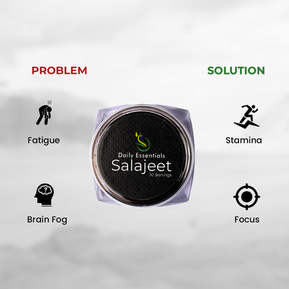 Buy Shilajit online Pakistan Daily Essentials